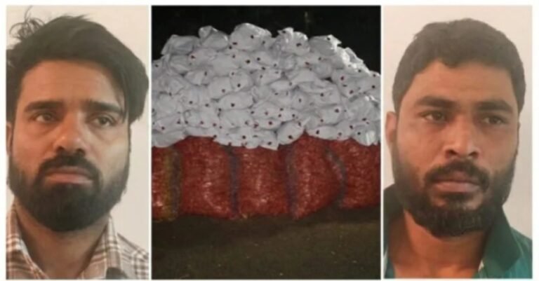 WhatsApp Image 2026-01-20 at 12.49.22 PM