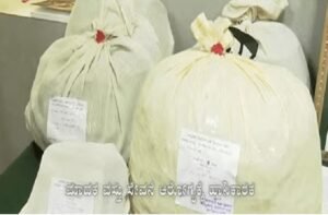 WhatsApp Image 2026-01-28 at 3.47.07 PM