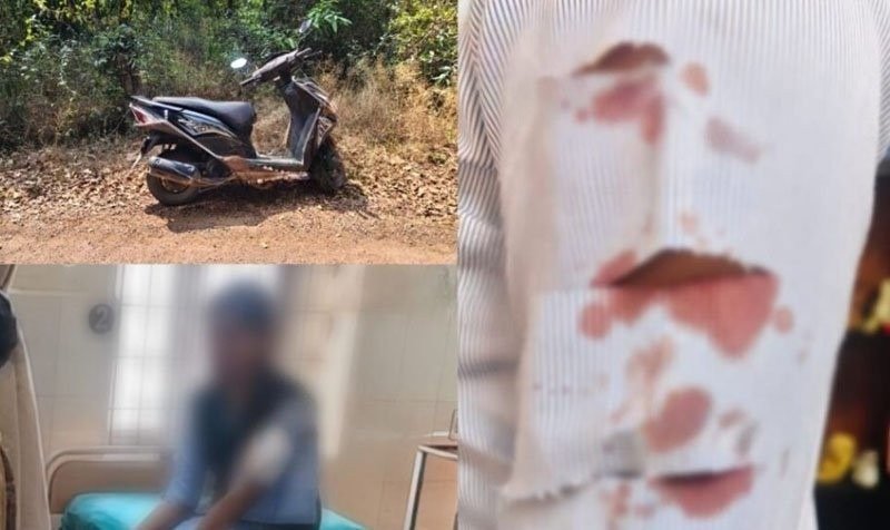 WhatsApp Image 2026-02-10 at 12.42.55 PM