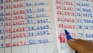 WhatsApp Image 2026-02-12 at 11.24.52 AM