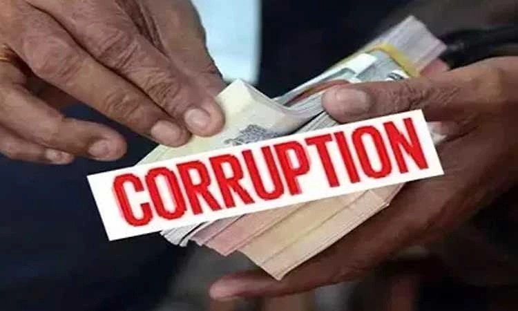 WhatsApp Image 2026-02-13 at 2.37.36 PM