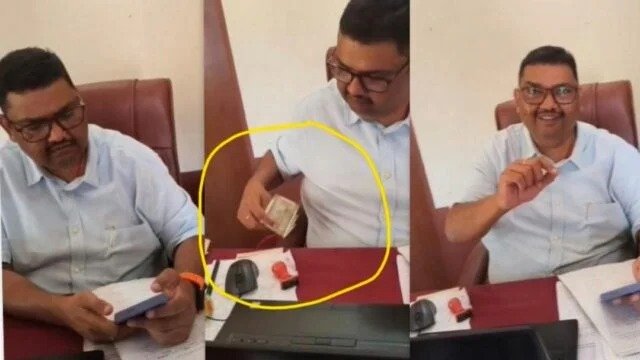 WhatsApp Image 2026-02-17 at 2.59.21 PM