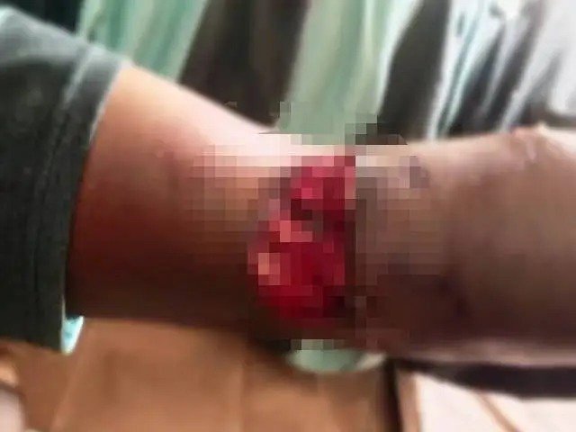 WhatsApp Image 2026-02-18 at 6.13.57 PM