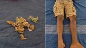 WhatsApp Image 2026-02-20 at 8.33.04 AM