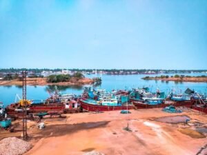 WhatsApp Image 2026-02-21 at 1.03.41 PM