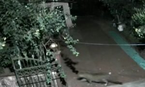 WhatsApp Image 2026-02-23 at 12.59.06 PM