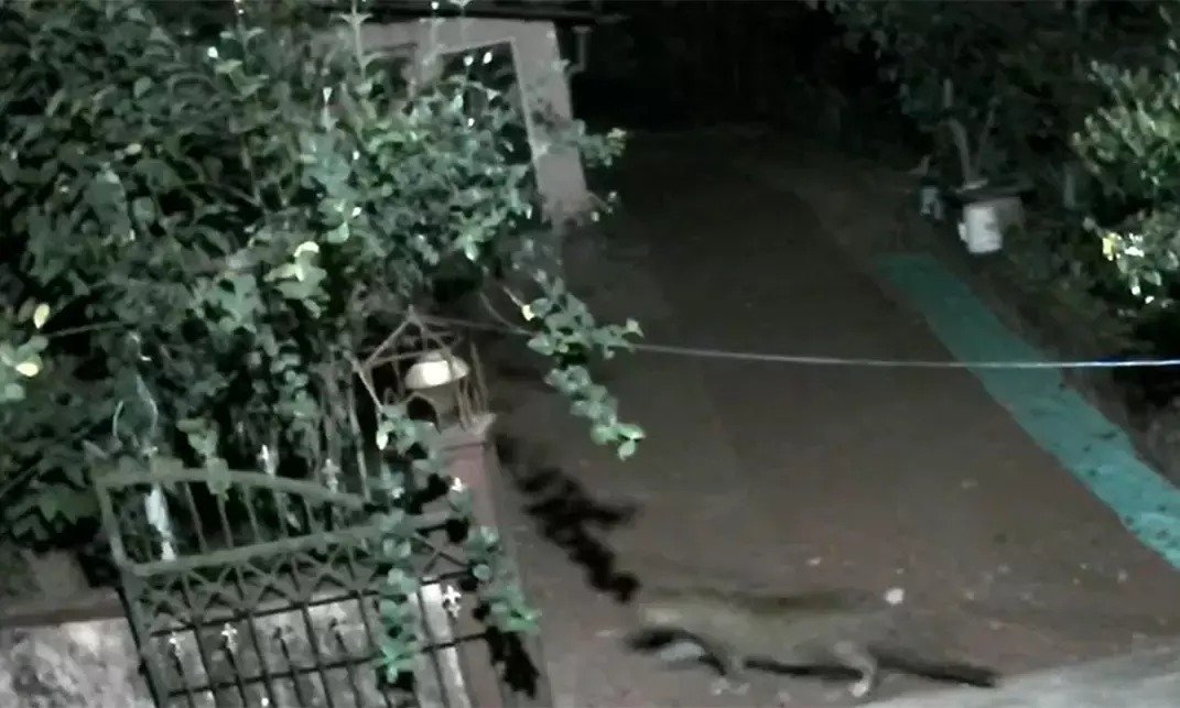 WhatsApp Image 2026-02-23 at 12.59.06 PM