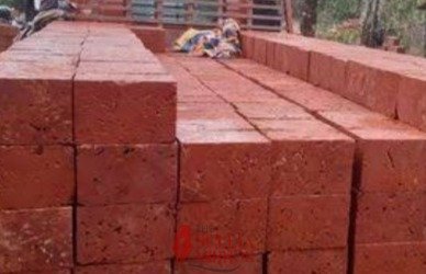 WhatsApp Image 2026-02-26 at 3.14.26 PM