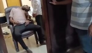 wmremove-transformed