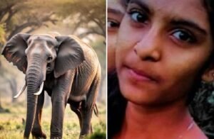 WhatsApp Image 2026-03-01 at 5.52.38 PM