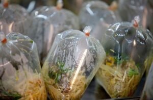 WhatsApp Image 2026-03-12 at 9.12.42 AM