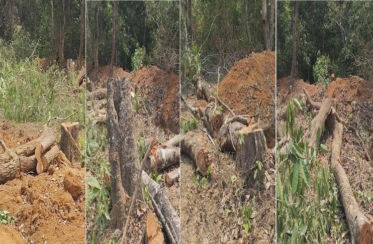 WhatsApp Image 2026-03-16 at 5.31.31 PM (1)