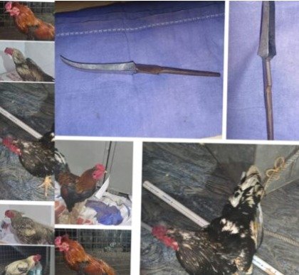 WhatsApp Image 2026-03-19 at 10.44.58 AM