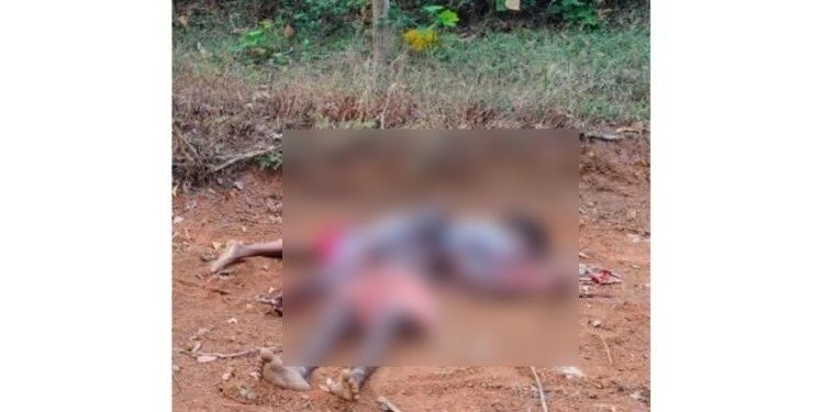 WhatsApp Image 2026-03-20 at 3.04.26 PM