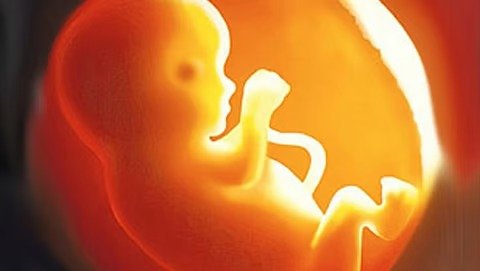 WhatsApp Image 2026-03-24 at 1.30.48 PM