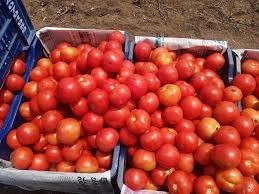 WhatsApp Image 2026-03-25 at 2.25.08 PM