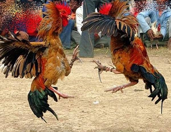 WhatsApp Image 2026-03-28 at 12.48.47 PM